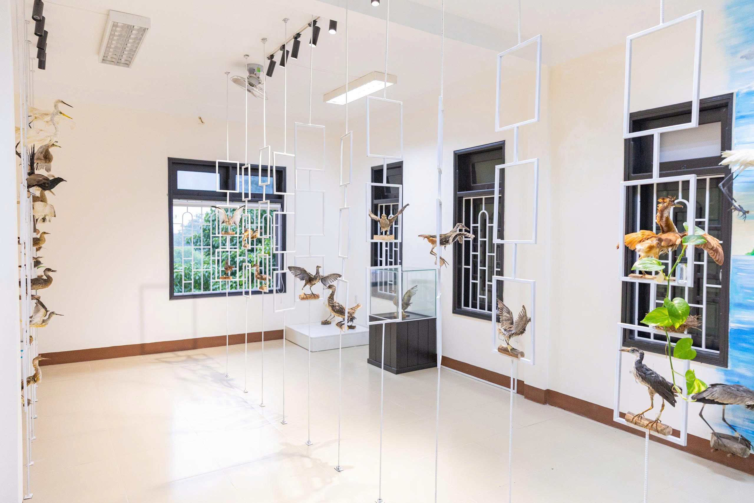 Bảo tàng Thiên nhiên duyên hải miền Trung