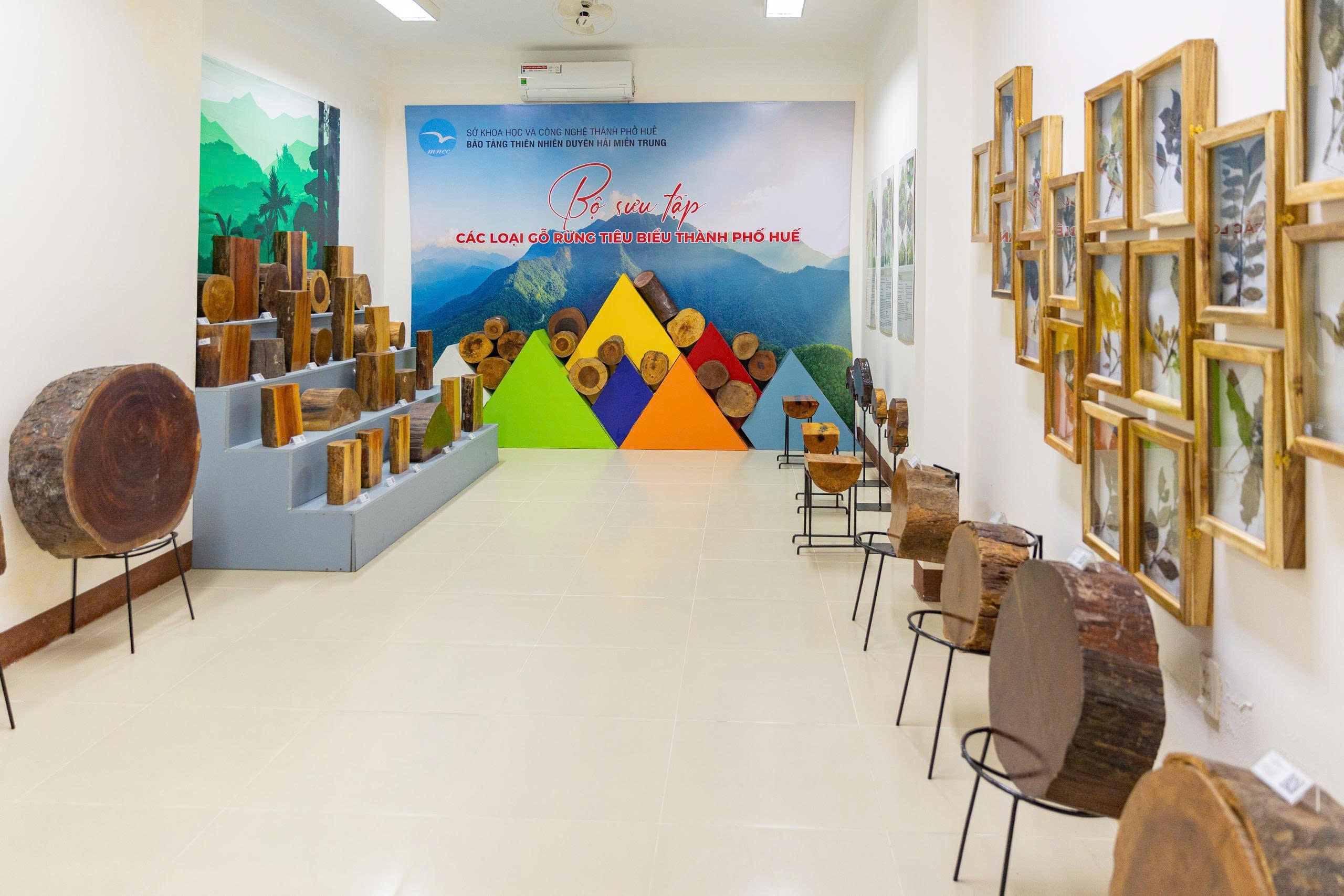 Bảo tàng Thiên nhiên duyên hải miền Trung