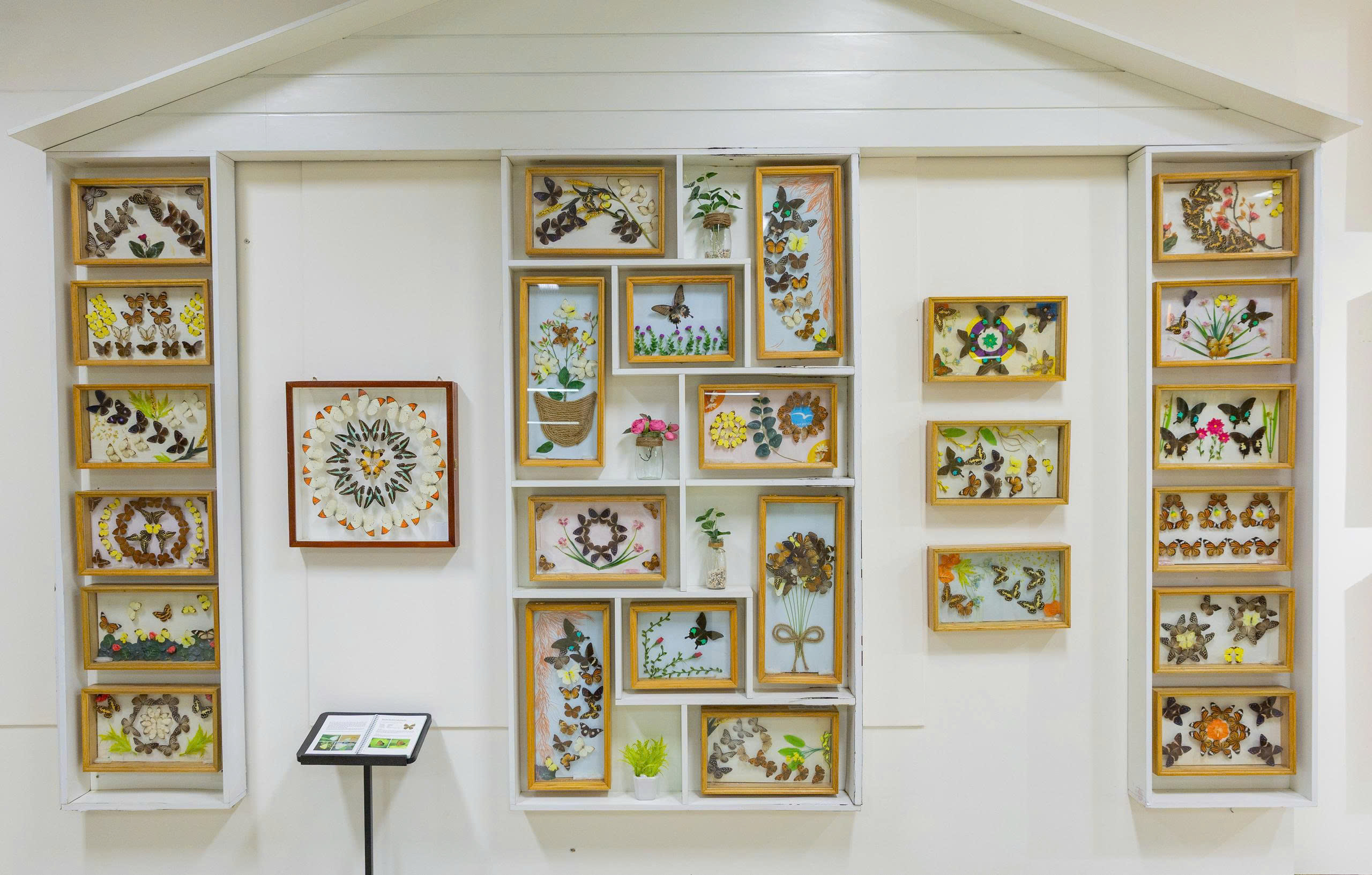 Bảo tàng Thiên nhiên duyên hải miền Trung