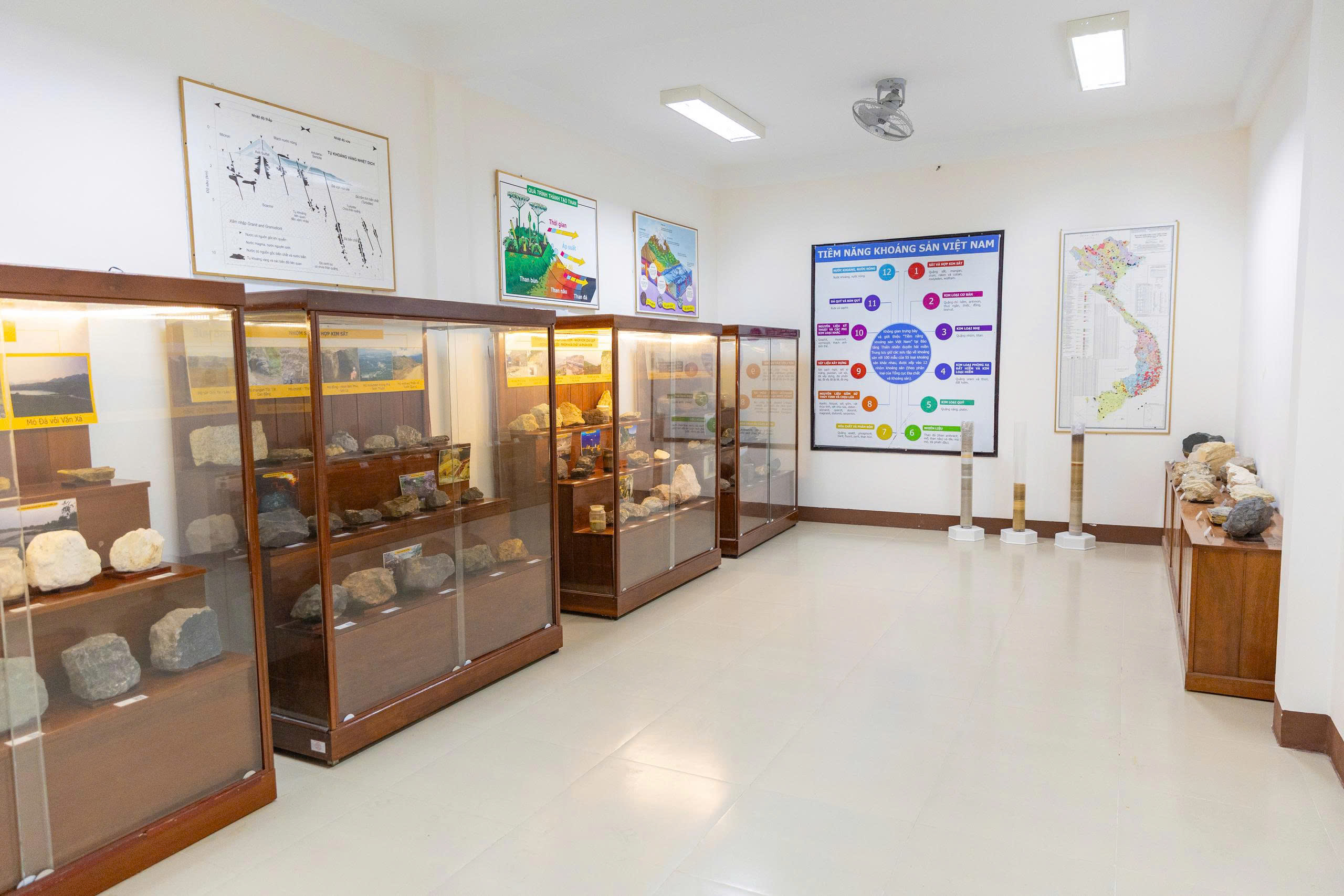 Bảo tàng Thiên nhiên duyên hải miền Trung