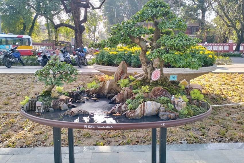 Mr. Nhan’s pots accompany artistic bonsai creations