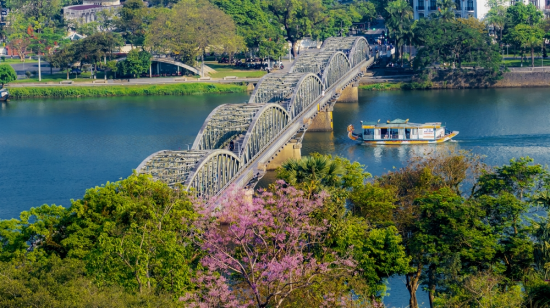  Hoa ngô đồng khoe sắc bên cầu Trường Tiền