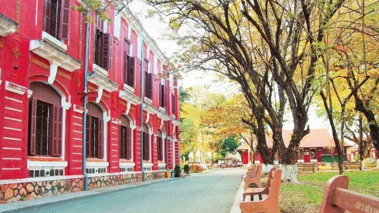 Không gian xanh tại Trường Quốc học Huế.