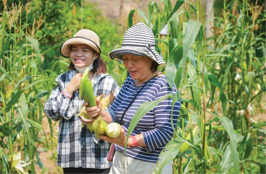 Doi Village is gradually developing community-based tourism associated with local cultural preservation