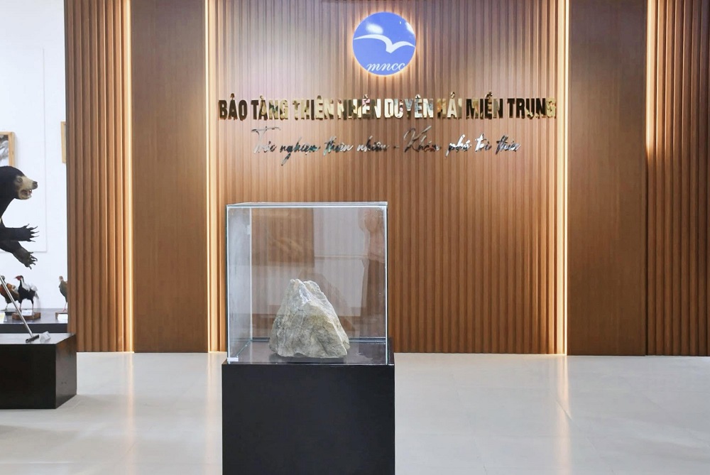 Mẫu đá granite cổ nhất Việt Nam được đưa vào trưng bày tại Bảo tàng Thiên nhiên duyên hải miền Trung