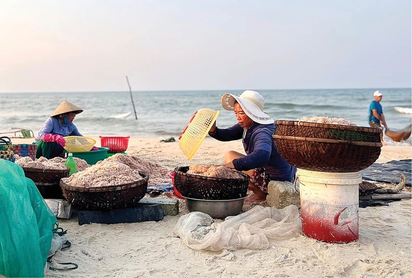 A bountiful harvest of “sea fortune.” Photo: Tan Phat