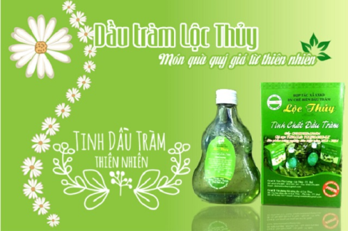 Tinh dầu tràm Phú Lộc - Huế