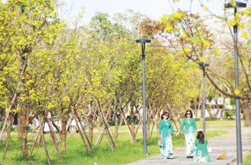 Yellow Apricot Street