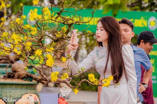 Ngày hội Hoàng mai Huế lần thứ II năm 2024