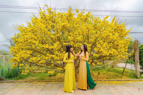 Thành phố Huế - Thành phố Hoàng mai