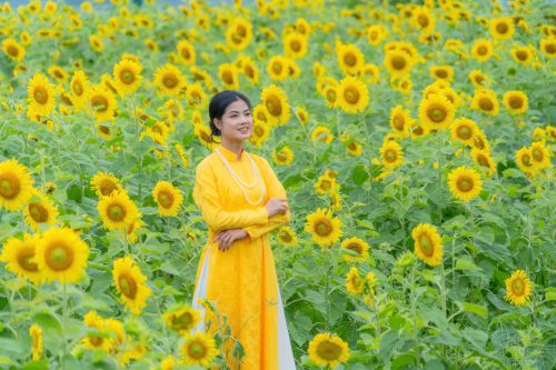 Vườn hoa Văn Thánh - Điểm check-in đẹp tại Huế